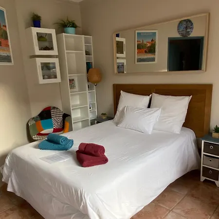 公寓 Meuble Classe Carmes , Entree Autonome, Wifi, Climatise, Petit Parking Prive *