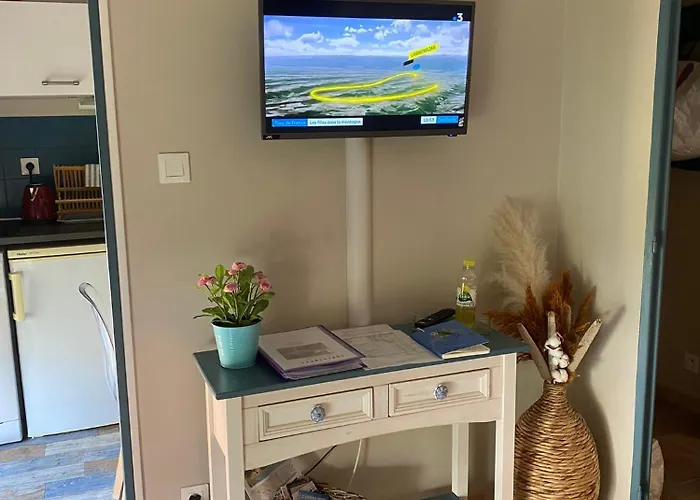 公寓 Meuble Classe Carmes , Entree Autonome, Wifi, Climatise, Petit Parking Prive