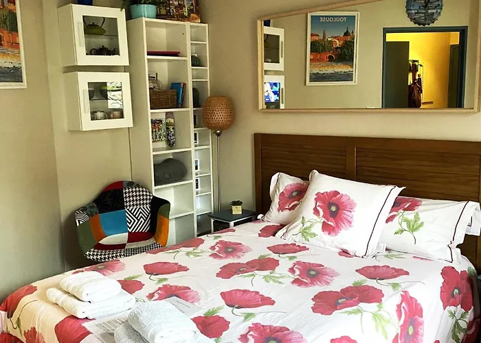 公寓 Meuble Classe Carmes , Entree Autonome, Wifi, Climatise, Petit Parking Prive