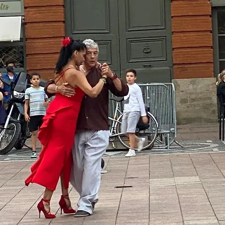 Meublé Tourisme Carmes 2 étoiles, Entrée Autonome,wifi, Climatisé, Petit Parking Privé Apartamento Toulouse