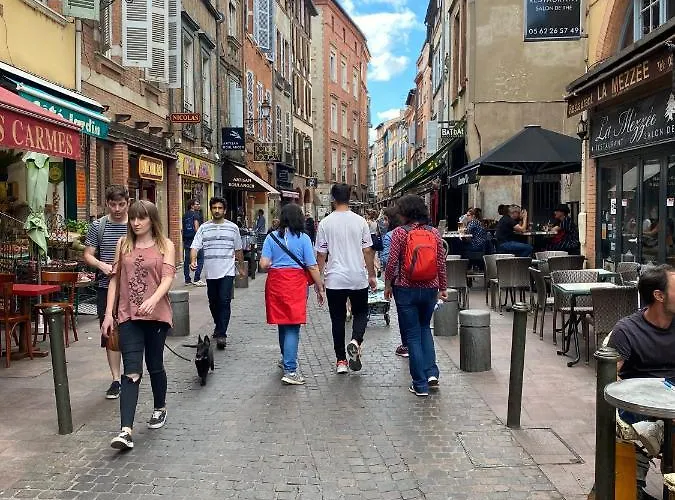 아파트 Meuble Classe Carmes , Entree Autonome, Wifi, Climatise, Petit Parking Prive