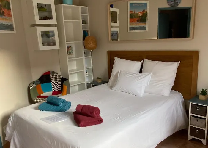 아파트 Meuble Classe Carmes , Entree Autonome, Wifi, Climatise, Petit Parking Prive *