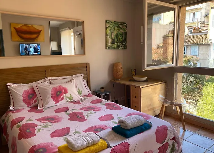 Meuble Classe Carmes , Entree Autonome, Wifi, Climatise, Petit Parking Prive 公寓 *