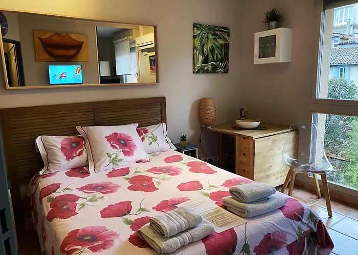 Meuble Classe Carmes , Entree Autonome, Wifi, Climatise, Petit Parking Prive 公寓 圖盧茲