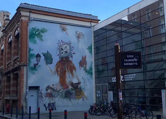 公寓 Meuble Classe Carmes , Entree Autonome, Wifi, Climatise, Petit Parking Prive *